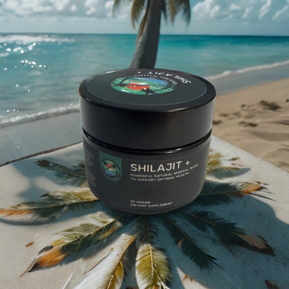 SHILAJIT 580x580